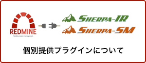 個別提供プラグインについて